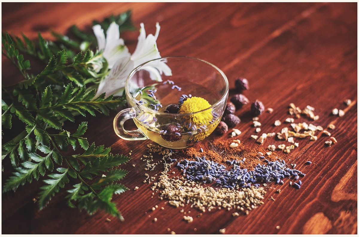 Herbal tea and botanicals on a warm wooden table